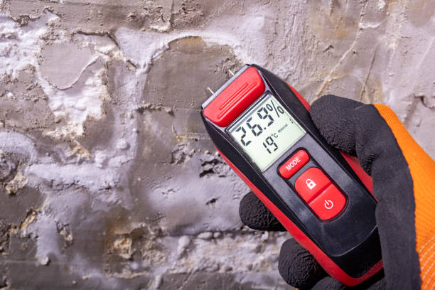Best Post-Remediation Services in Greenville, RI